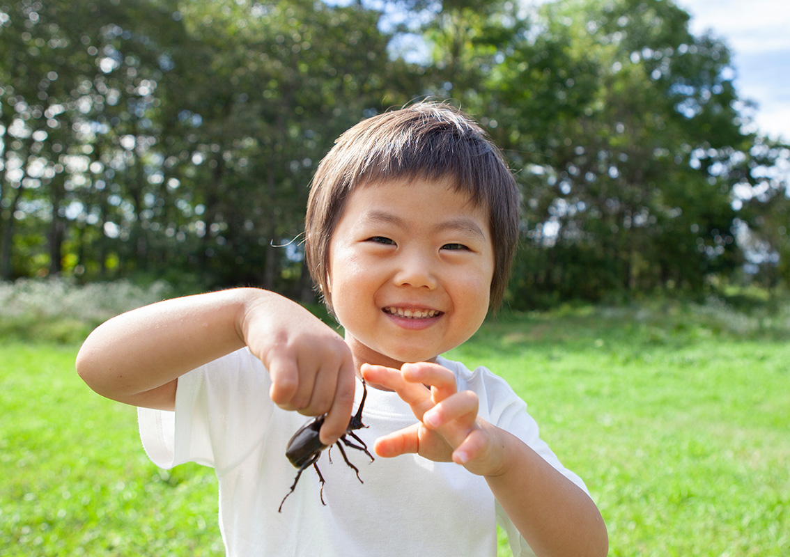 CONTACT WITH INSECTS